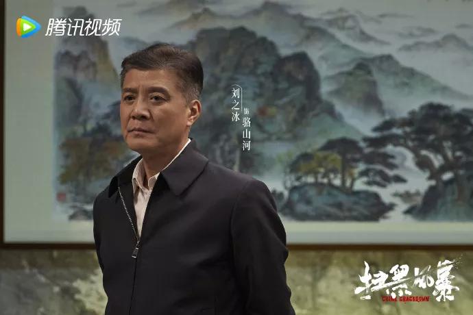 《扫黑风暴》，戏骨演员不年轻，各显神通