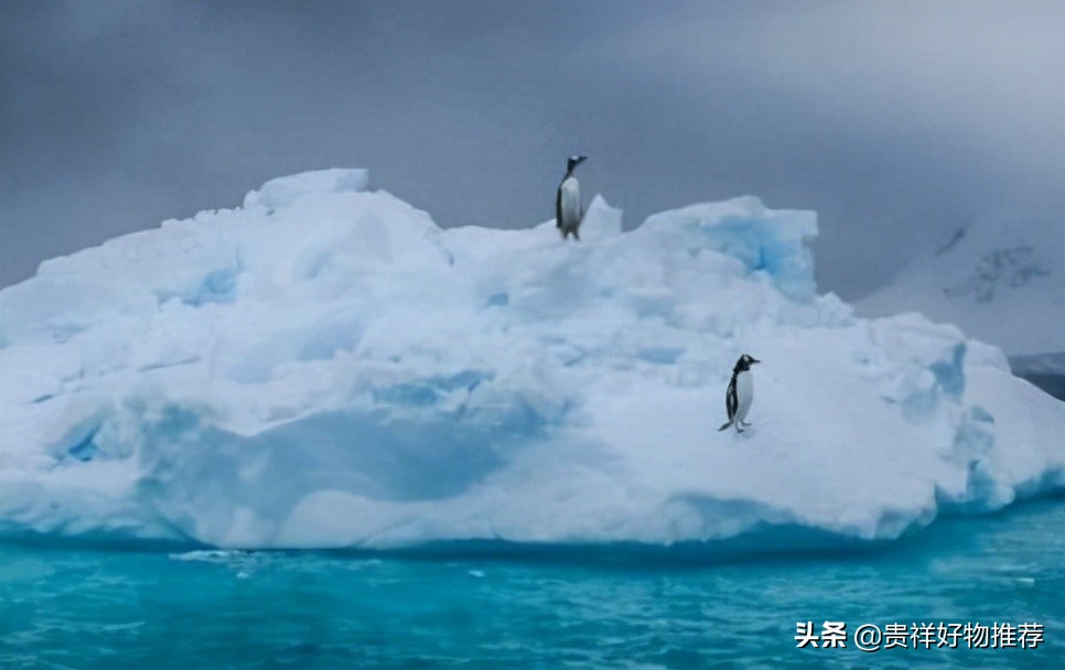 地球正在变得越来越暗说明什么？全球变暖对人类的危害