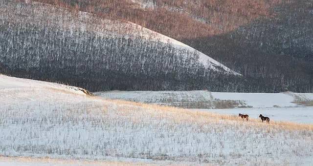 50幅雪画，50首雪诗，与你赏尽雪冬之美！