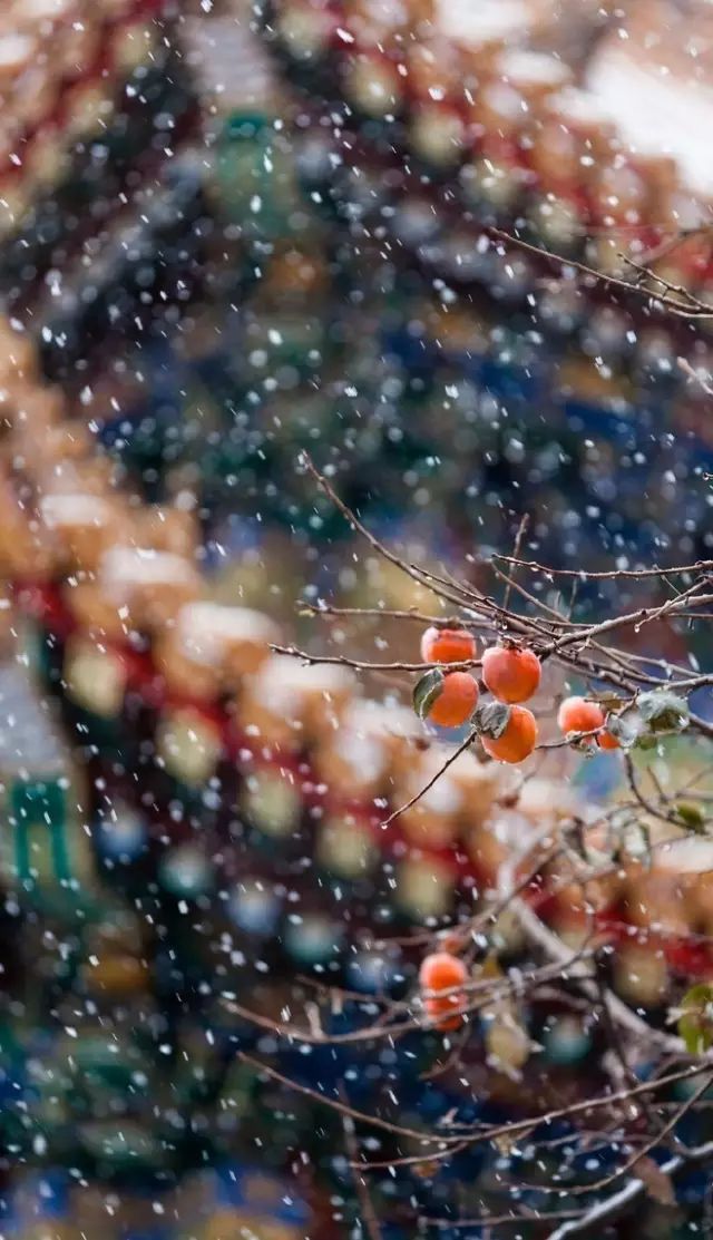 50幅雪画，50首雪诗，与你赏尽雪冬之美！