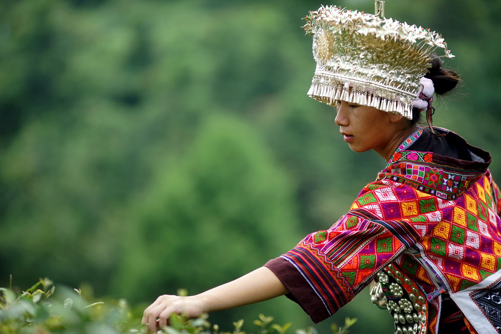 非遗苗族服饰：以超短裙出名，女子裙长仅五寸，你敢穿吗？