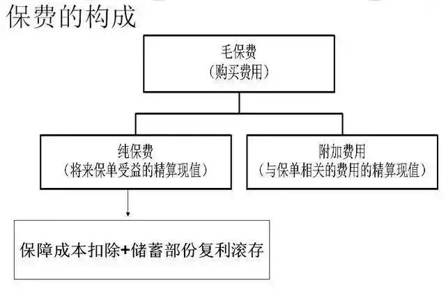 与投保相关联的复利系数表备查