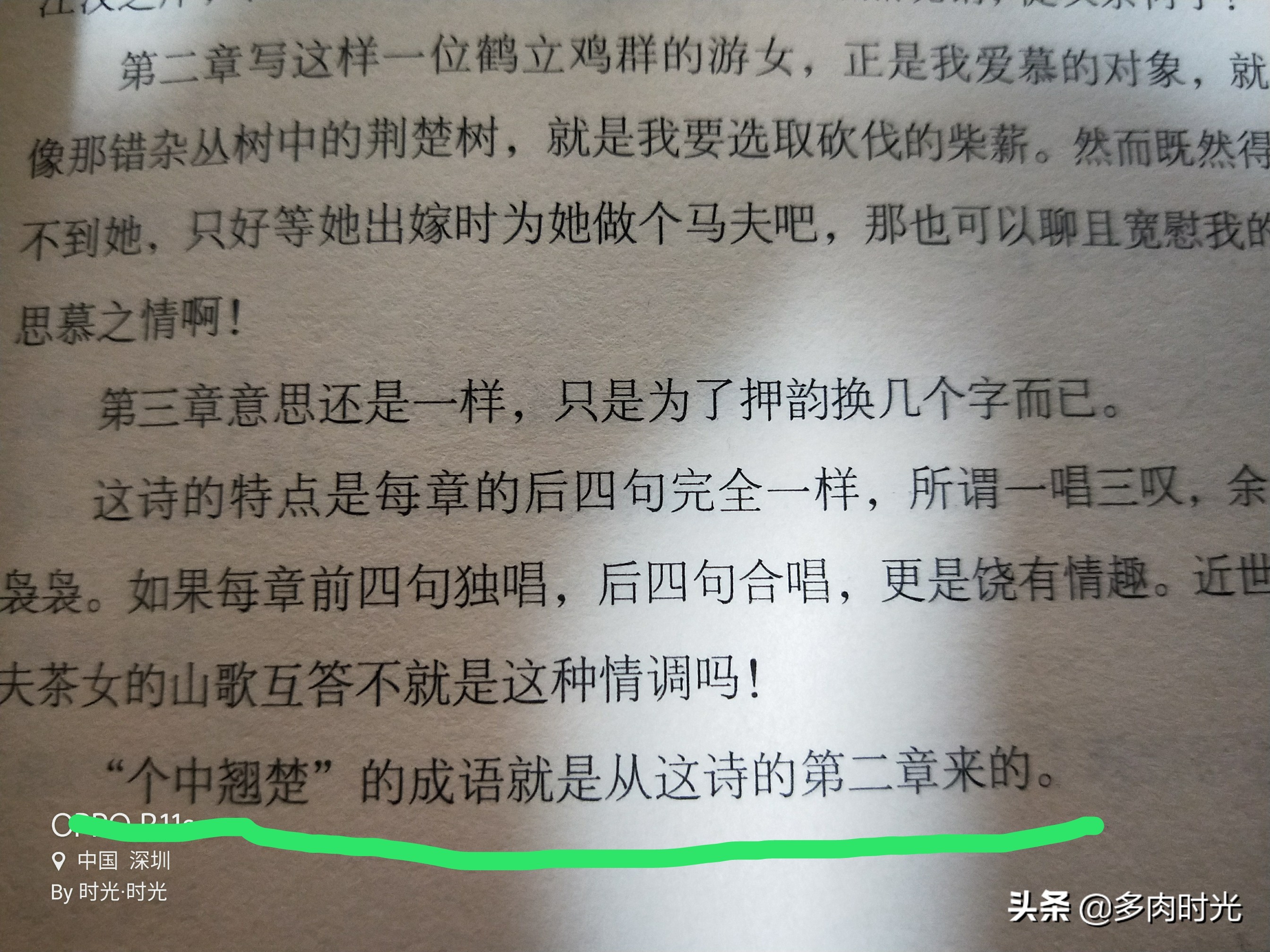 藏在诗经里的植物——“个中翘楚”一词的出处