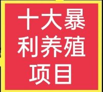 农村养殖好项目（在家养殖什么赚钱项目）