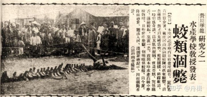 龙是真实存在的吗，还是古人虚构的，1934的营口坠龙事件是真是假？