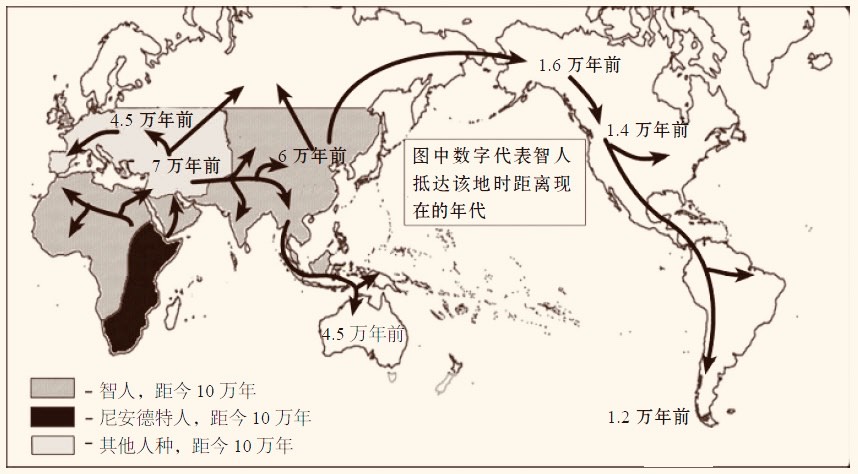 拜托！千万不要再说人是猴子变的，人类的进化过程其实是这样