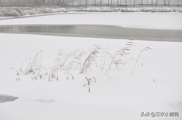 冬天打雷有什么说法？俗语“雷打雪人吃铁”，看传下来的农谚咋说