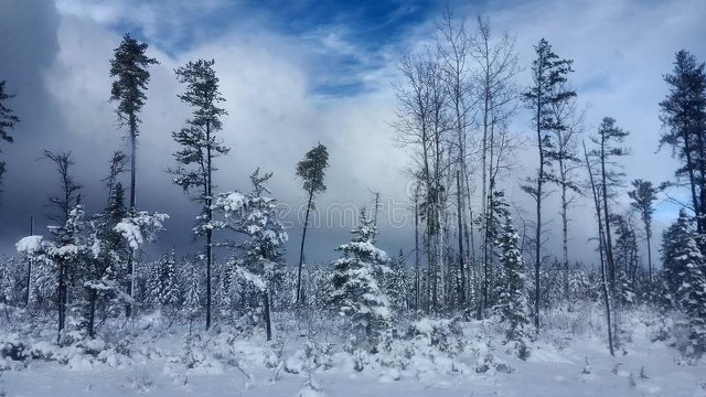 冬天打雷有什么说法？俗语“雷打雪人吃铁”，看传下来的农谚咋说