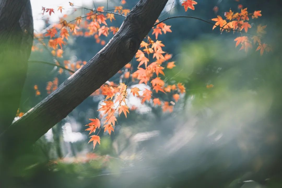 10é¦æå¢ä¼ç¾çå°è¯ï¼ç¾äºç¼ï¼éäºå¿ï¼æè³äºæ¶å