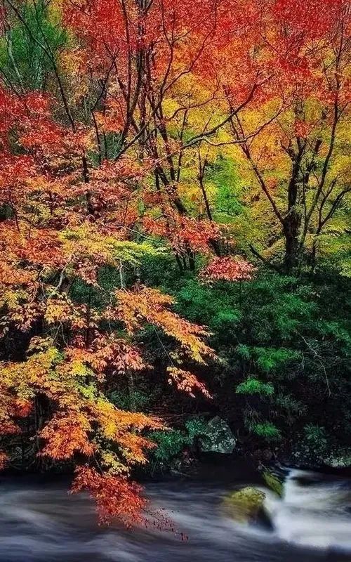 100å¹ç»ç¾å¤§èªç¶é£æ¯