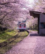 小学体育运动会口号