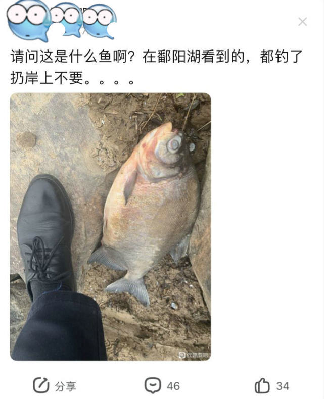 “食人鱼”入侵鄱阳湖？有人钓起丢弃岸边，其实这鱼可以吃