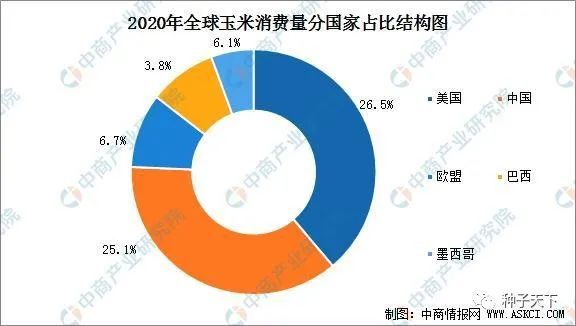 2020年全球玉米市场供需形势分析：生产和消费美国最大