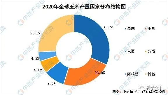 2020年全球玉米市场供需形势分析：生产和消费美国最大