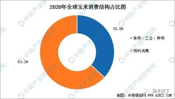 2020年全球玉米市场供需形势分析：生产和消费美国最大