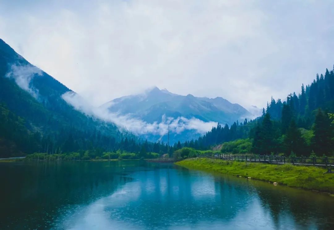 æä½å¤å¤©çå°¾å·´ï¼å¤§æ¹æ¬¡ç¾æ¯è¿æ5ç§å°è¾¾ç°åºï¼