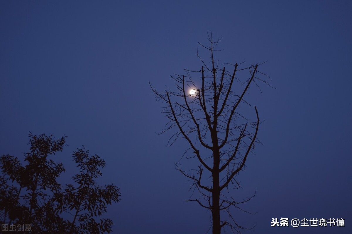 尼姑与恋人在月下依依惜别，写下的这首情诗，不仅有水平还很深情