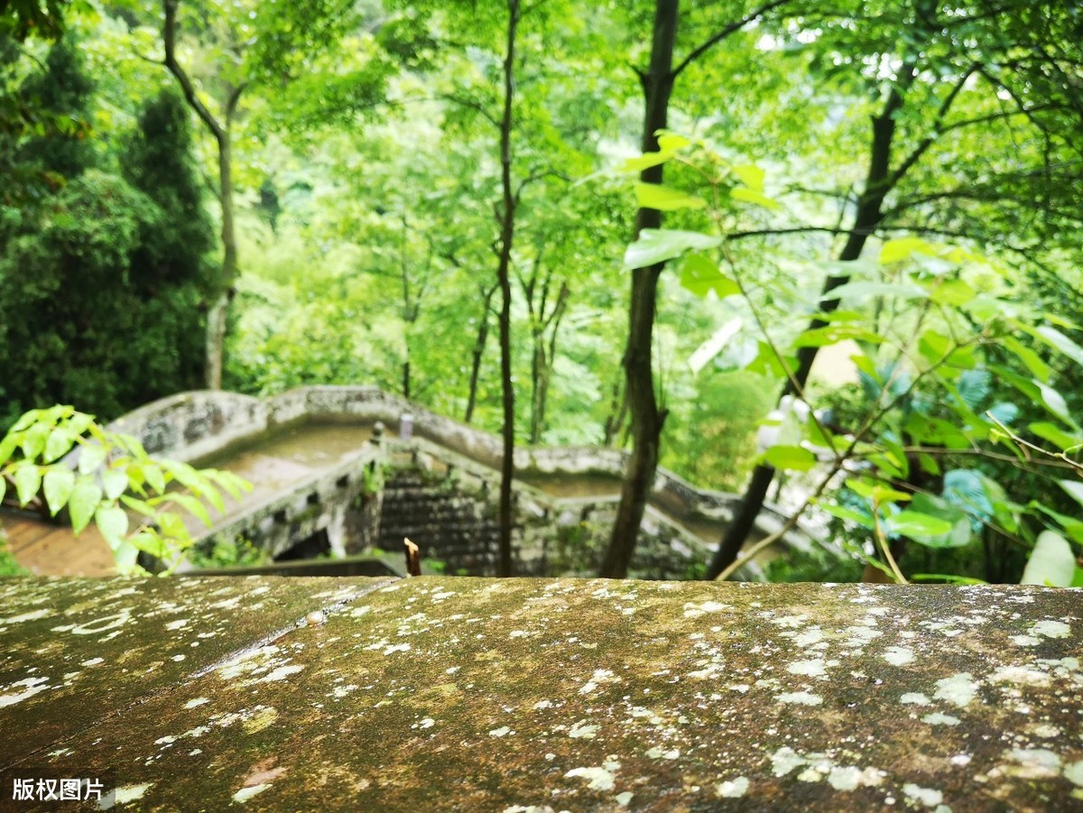 《山居秋暝》赏析：动静相宜，洒脱随意