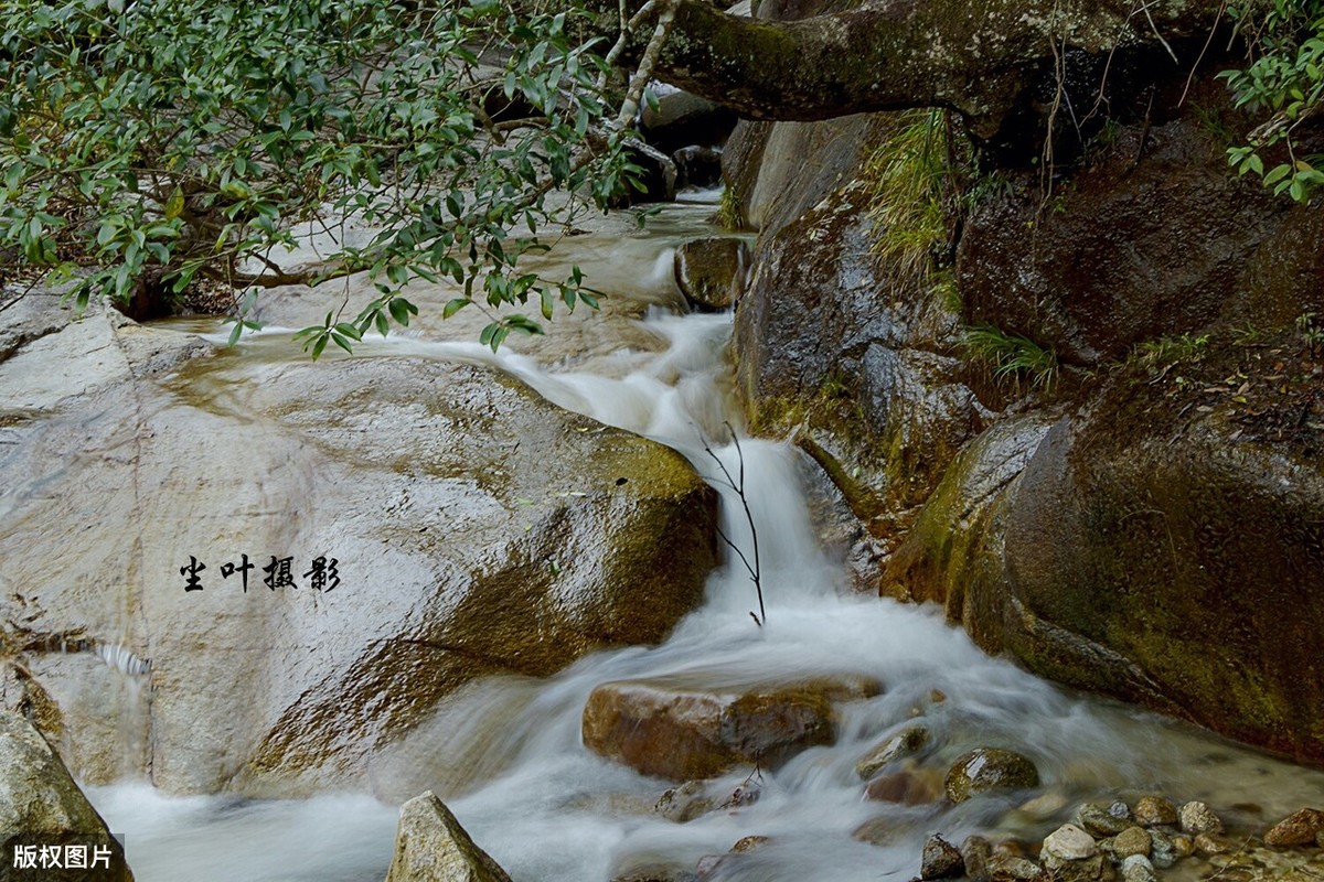 《山居秋暝》赏析：动静相宜，洒脱随意