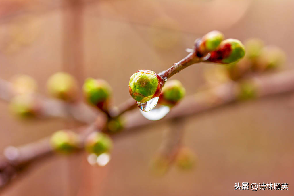 关于春雨的古诗20首，每一首都堪称经典