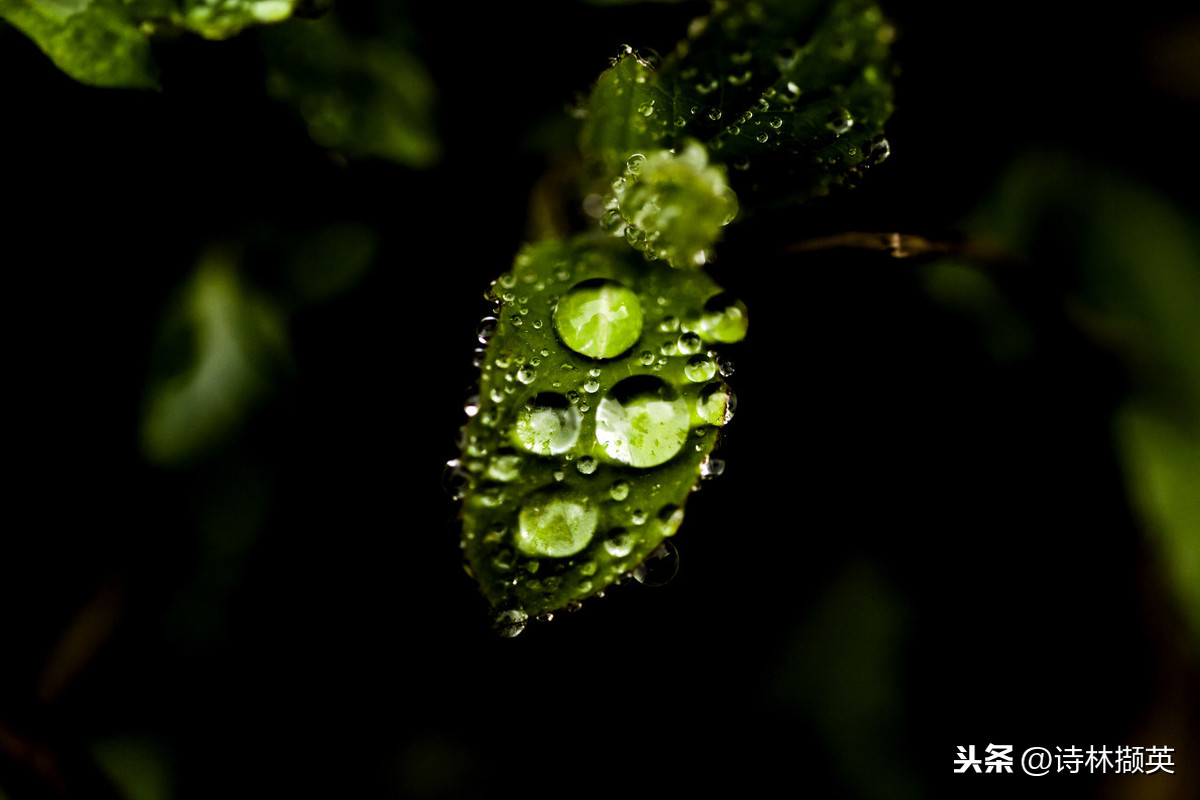 关于春雨的古诗20首，每一首都堪称经典