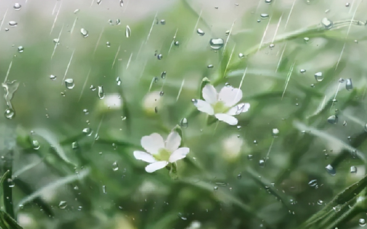 可怕的古人！《诗经》里关于雨的10首诗，已将雨的5种意境写尽