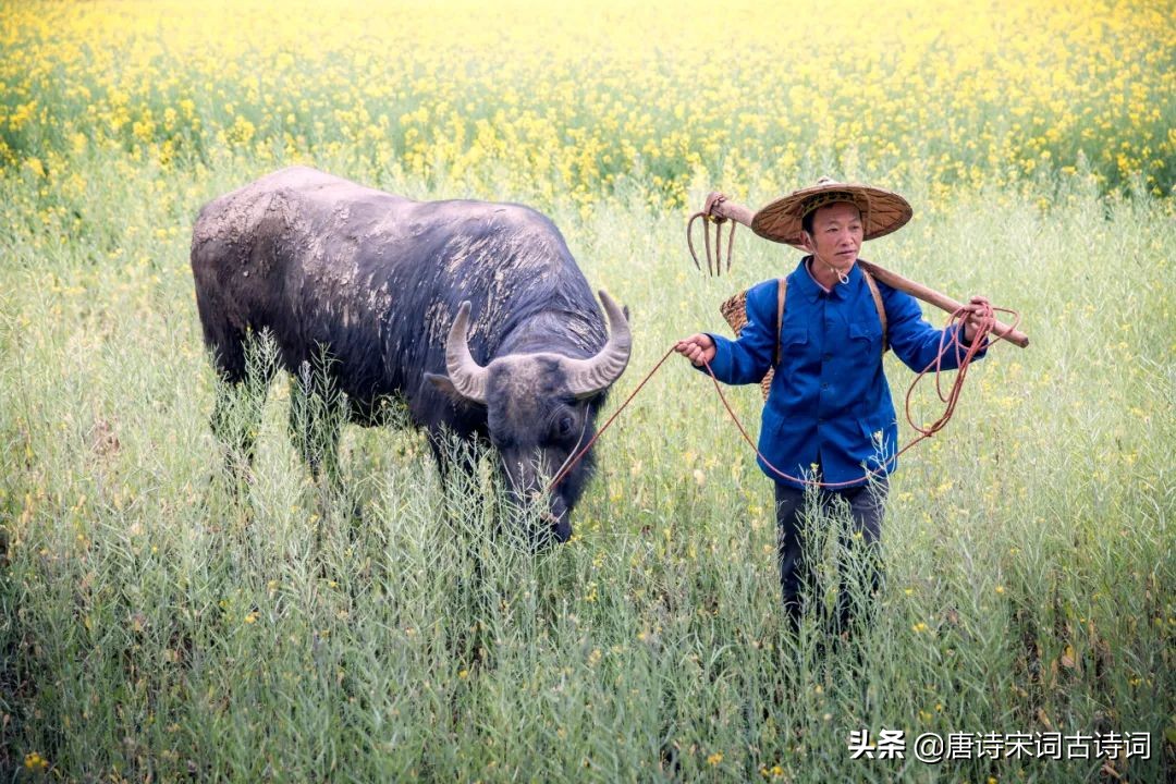 辛勤劳动，让我们更接近幸福