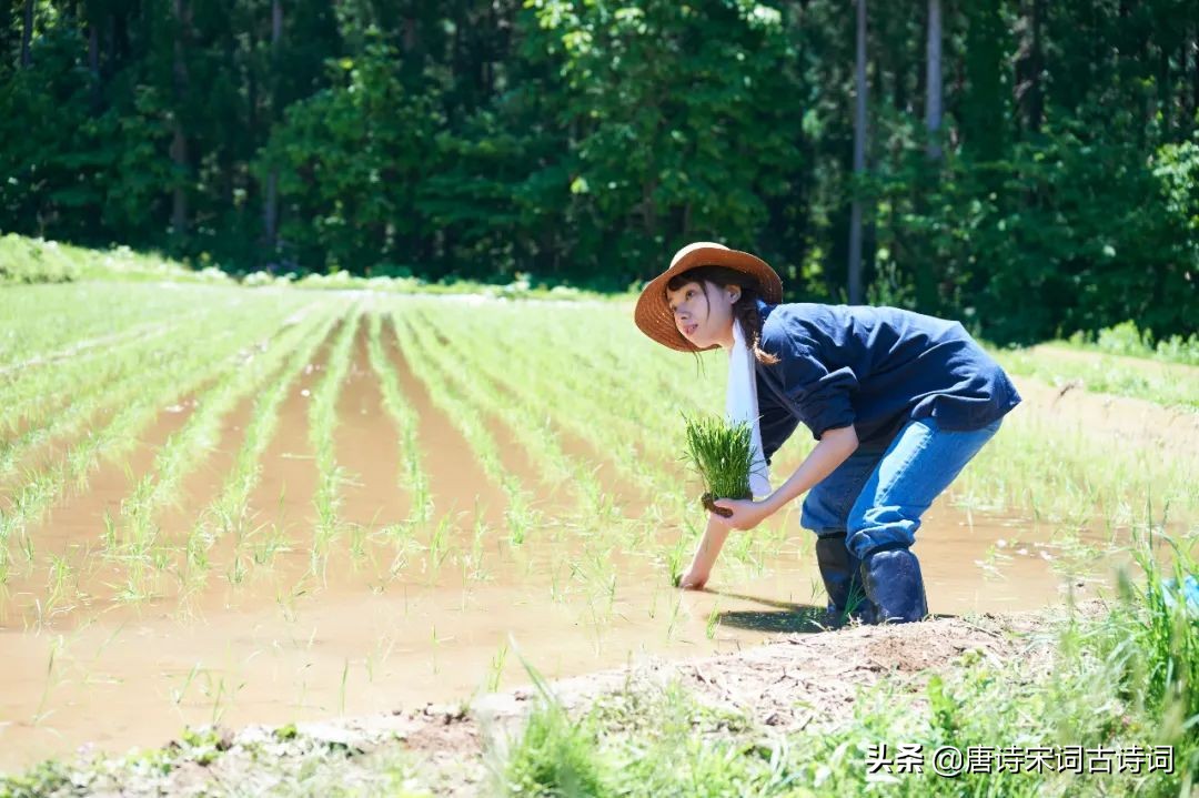 辛勤劳动，让我们更接近幸福