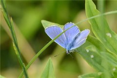 形容教室安静的句子精选31句